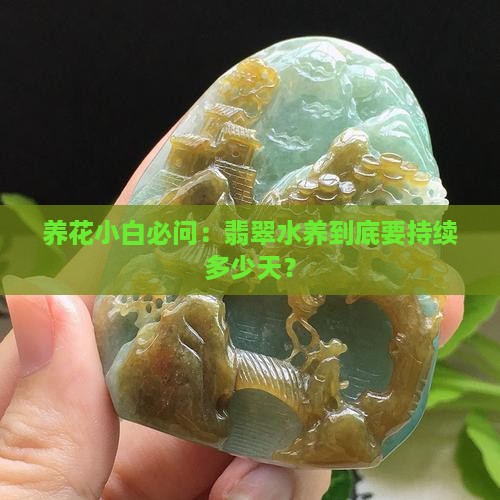 翡翠水养多久