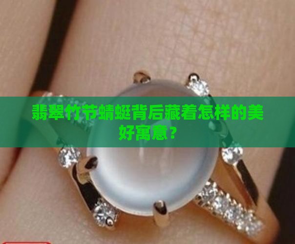 翡翠竹节蜻蜓寓意什么