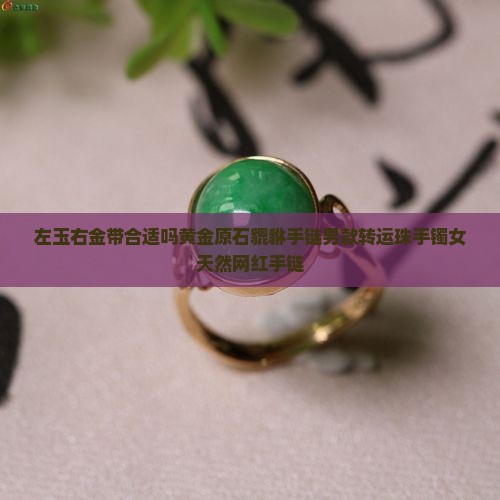 左玉右金带合适吗