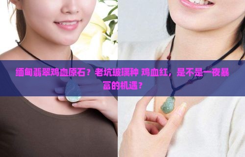 缅甸翡翠鸡血原石