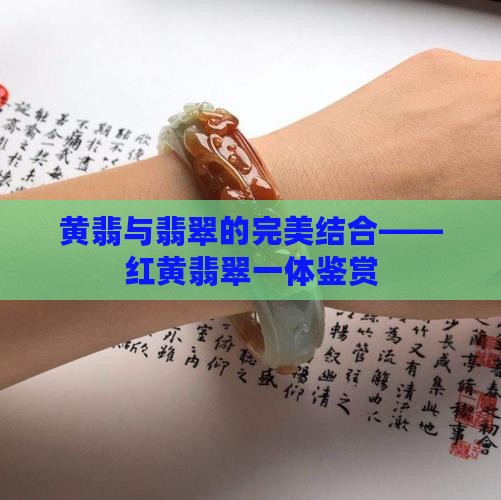 红黄翡翠一体
