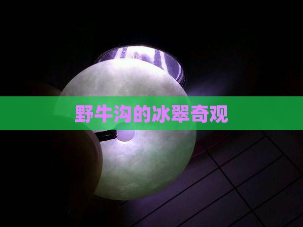 野牛沟冰翠
