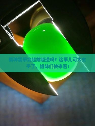 糯种会不会带带变得透明