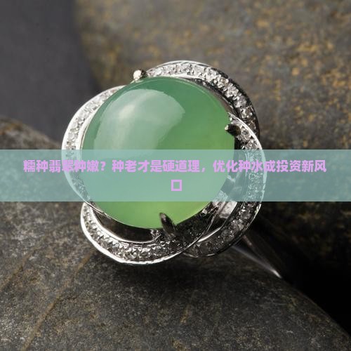 糯种翡翠种嫩