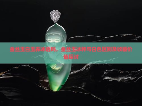 金丝玉白玉养冰透吗