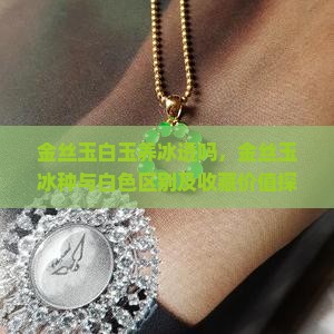 金丝玉白玉养冰透吗