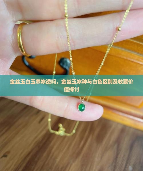 金丝玉白玉养冰透吗