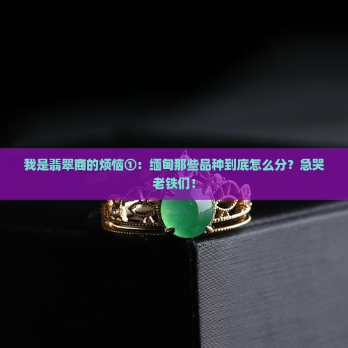 缅甸翡翠品种区分