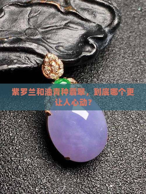 紫罗兰与油青种翡翠哪个好