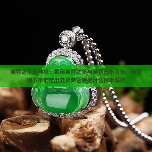 芙蓉之下无种水