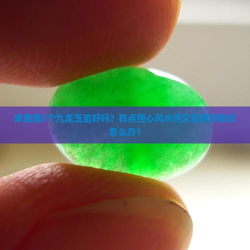 家里摆放九龙玉玺好么
