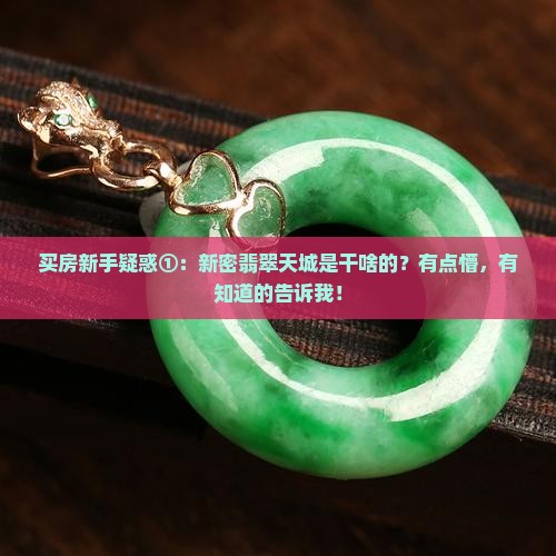 新密翡翠天城是干什么