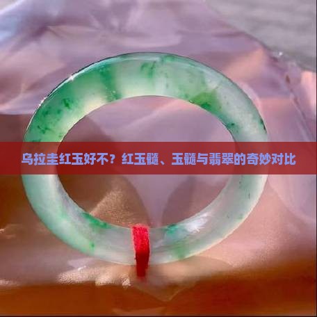 乌拉圭红玉好不