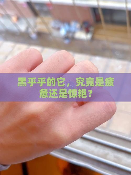 黑但有点竭的玉石