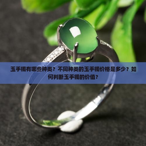 玉手镯的种类与多少钱 玉手镯的种类与多少钱