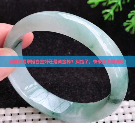 冰种白翡翠配白金还是黄金