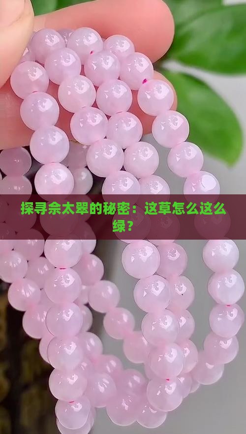 佘太翠带草