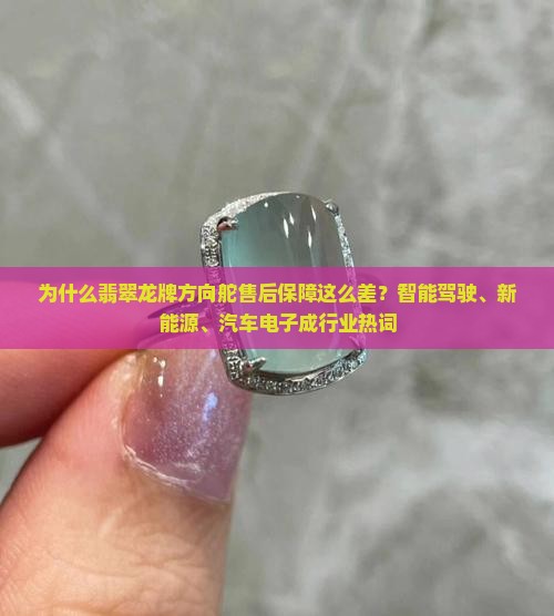 翡翠龙牌方向舵
