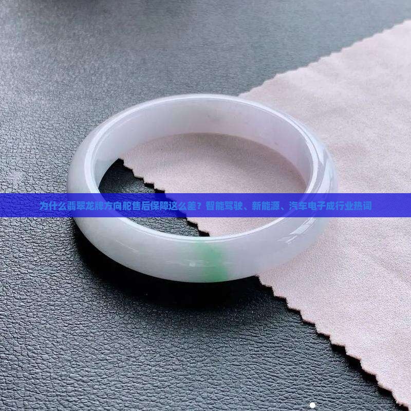 翡翠龙牌方向舵