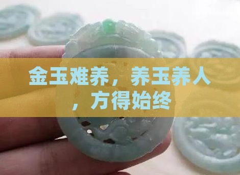 金养玉玉养人