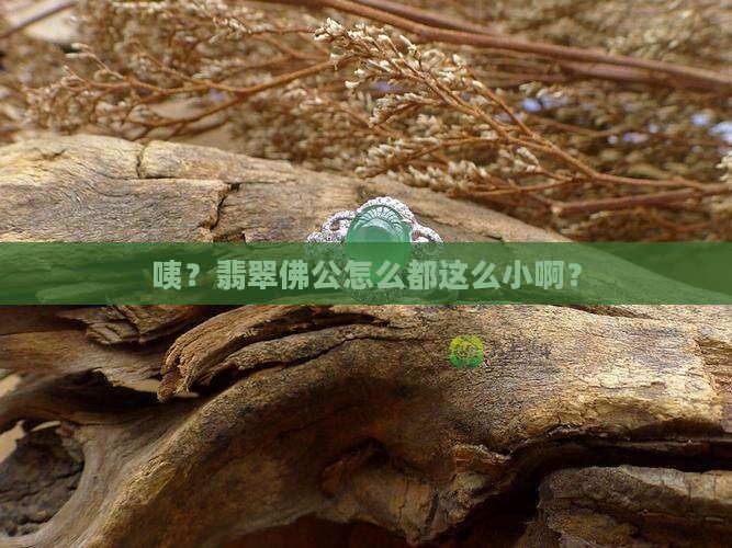 翡翠佛公大都很小