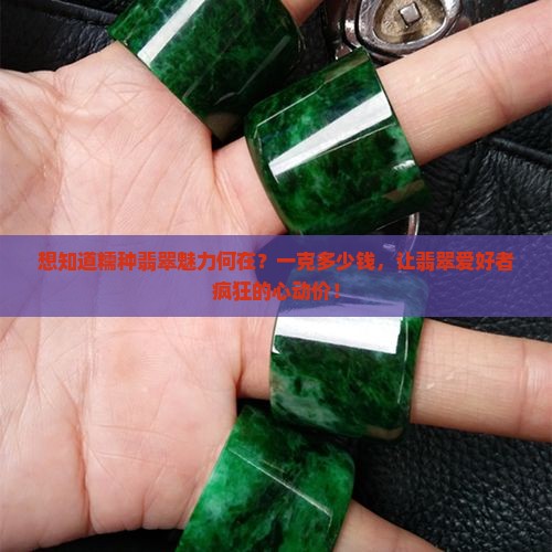 糯种翡翠一般多少钱一克