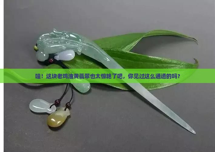 老鸡油黄翡翠