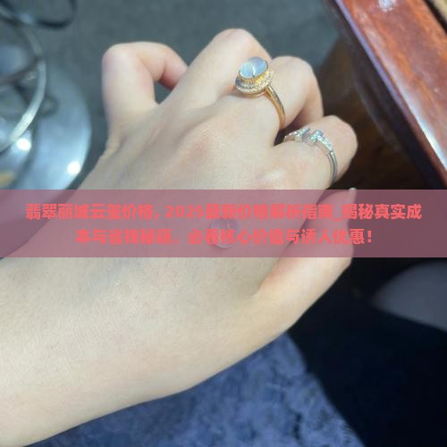 翡翠丽城云玺价格