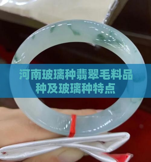 河南玻璃种翡翠毛料