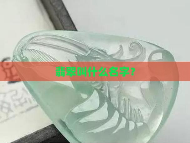 翡翠为啥叫翡翠