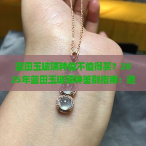 蓝田玉玻璃种