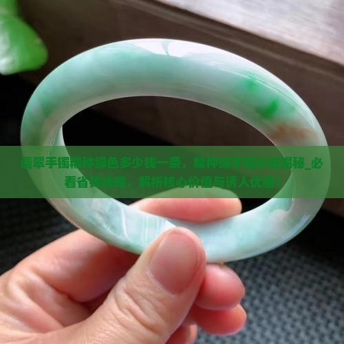 翡翠手镯糯种绿色多少钱一条