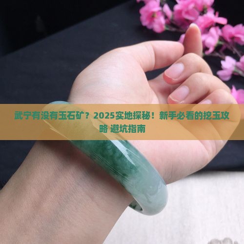 武宁有没有玉石矿