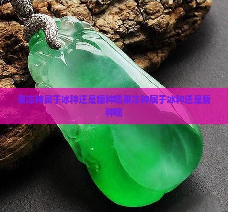 果冻种属于冰种还是糯种呢