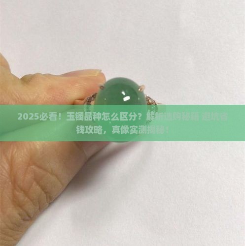 怎么区分玉镯品种
