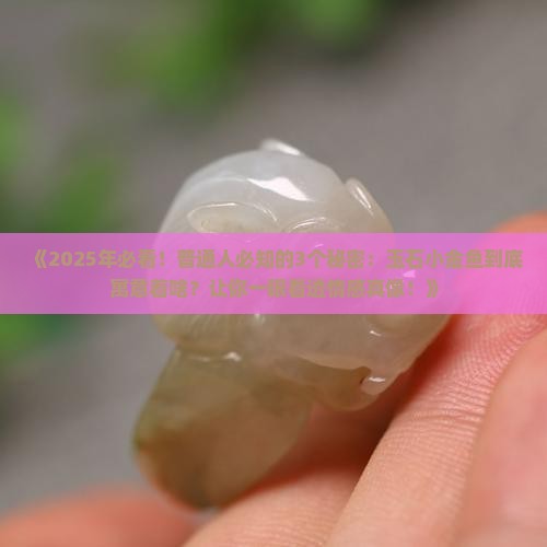 玉石小金鱼寓意着什么