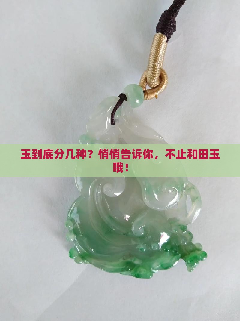 玉一般分为多少种类