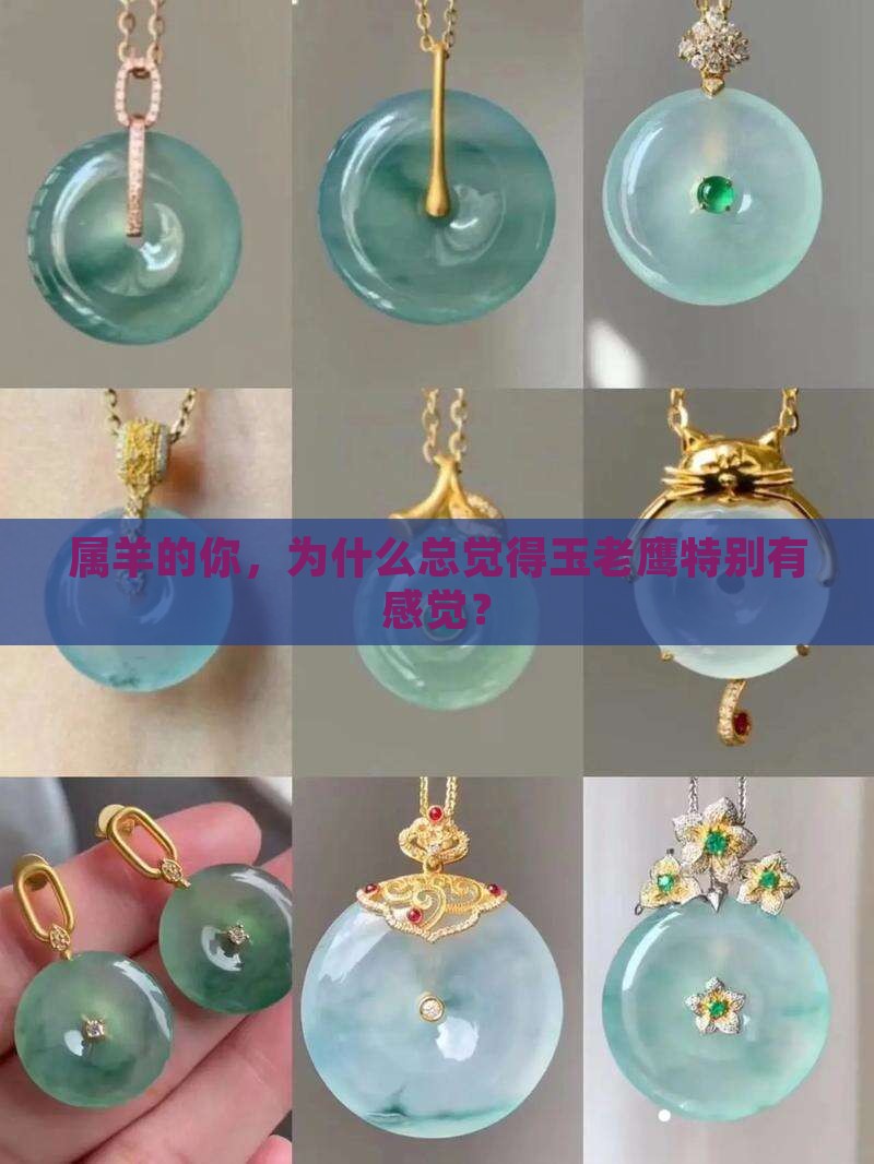 属羊地能带玉老鹰