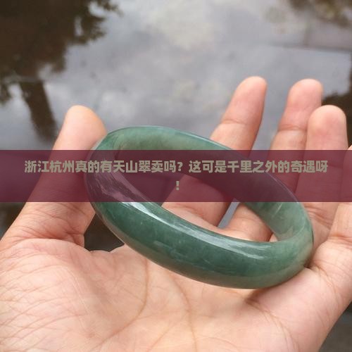 浙江杭州卖天山翠吗 浙江杭州卖天山翠吗