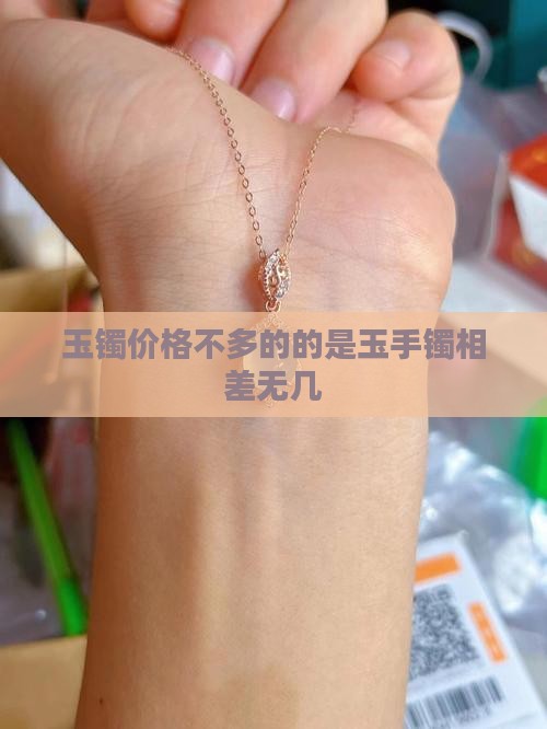 玉镯多钱的是差不多的玉