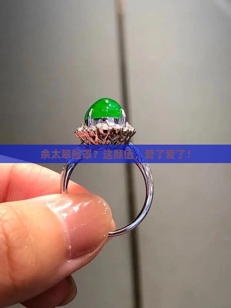 佘太翠脸罩
