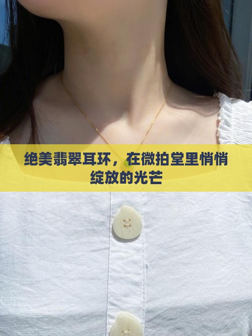 微拍堂上的翡翠耳环