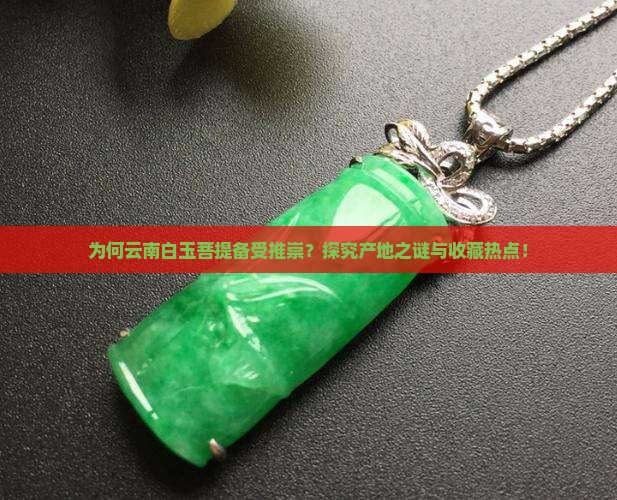 白玉菩提哪个产地最好