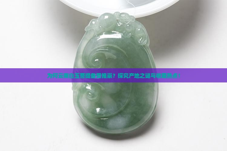 白玉菩提哪个产地最好