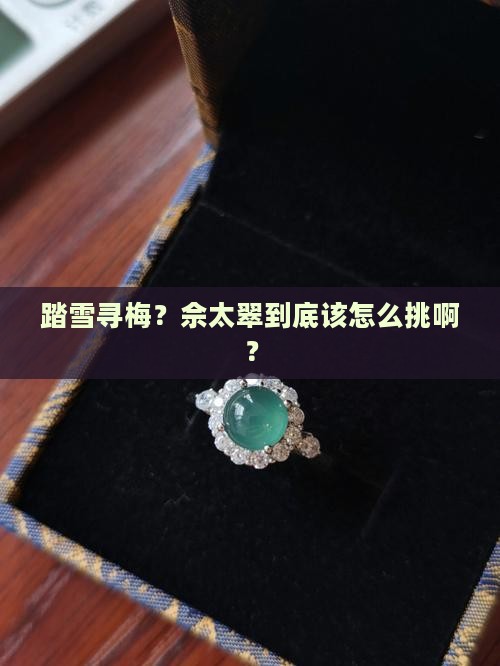 踏雪寻梅佘太翠怎么挑