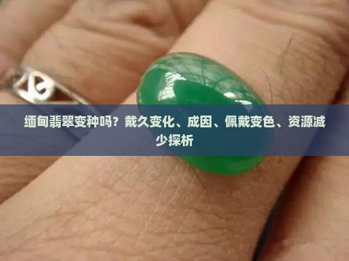 缅甸翡翠变种吗