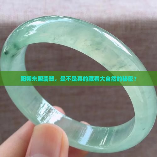 阳朔东盟翡翠真的吗