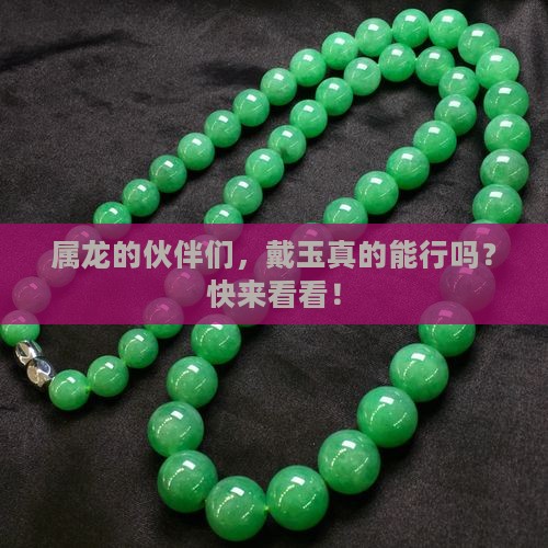 属龙得带玉好不好