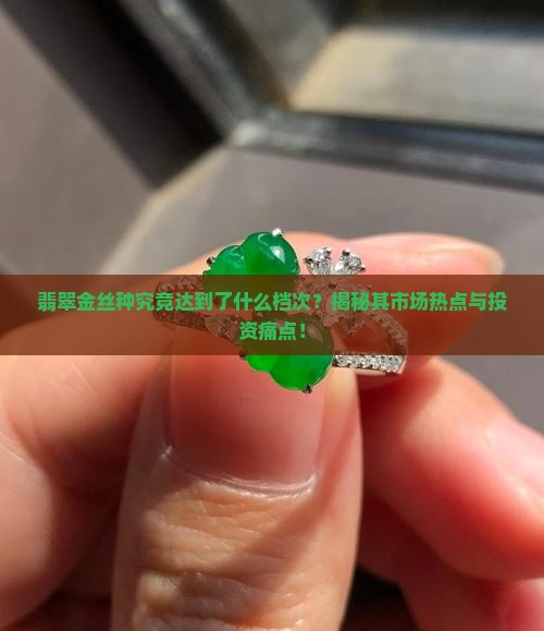 翡翠金丝种什么档次
