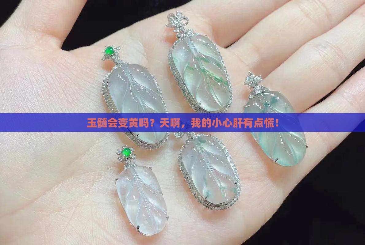 玉髓会变黄吗